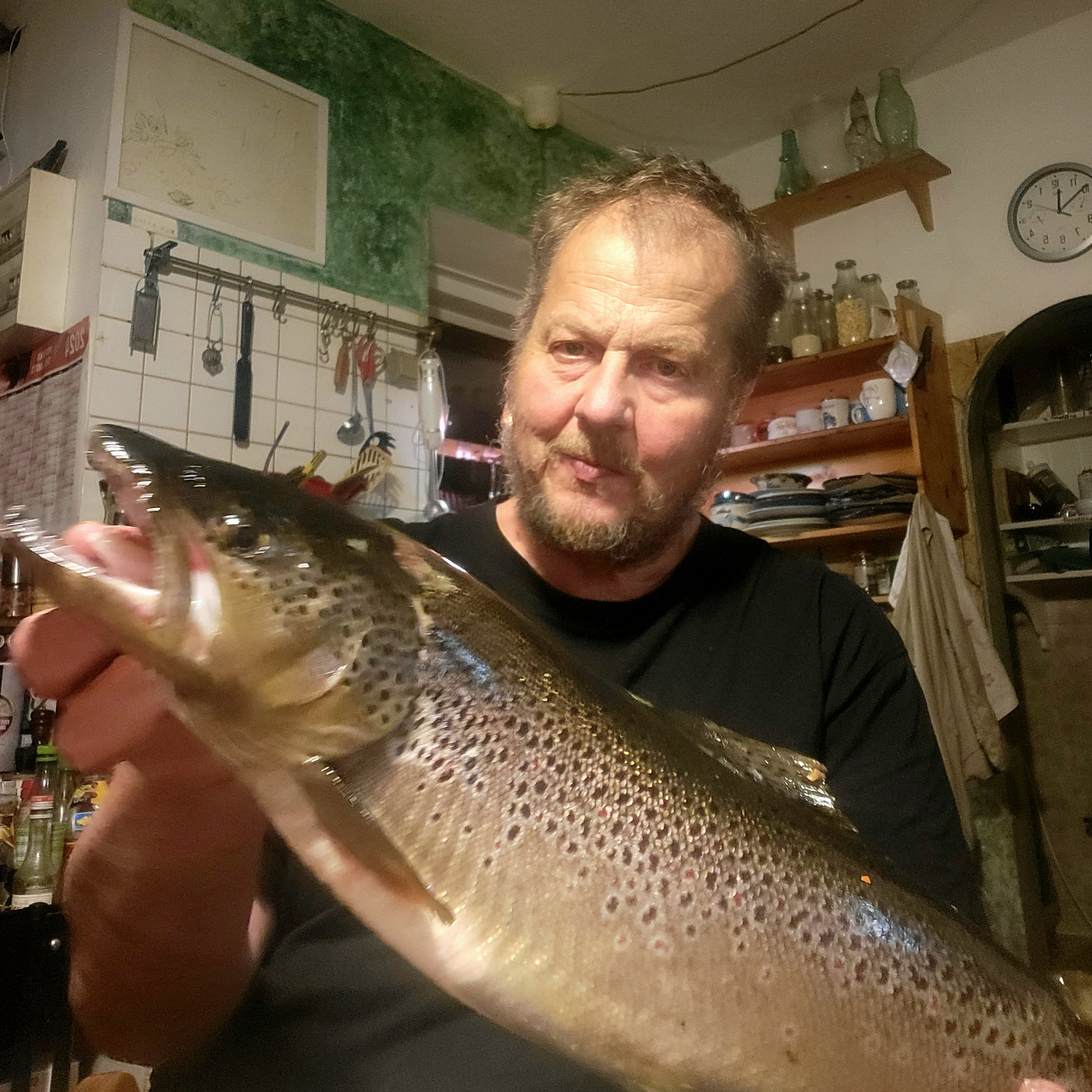 Bachforelle Fischa-Dagnitz